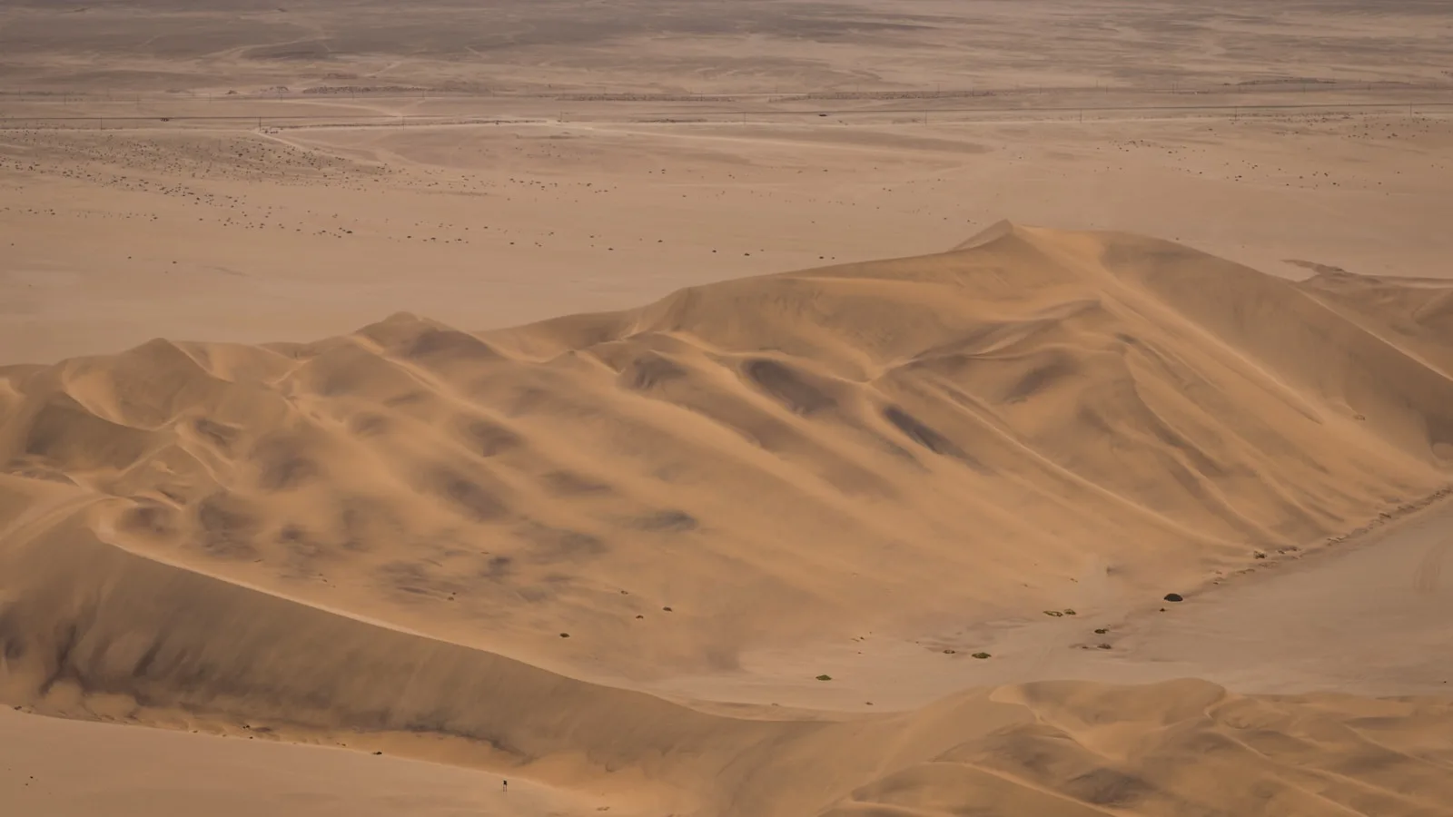 Sandboard : dévaler les dunes du Namib