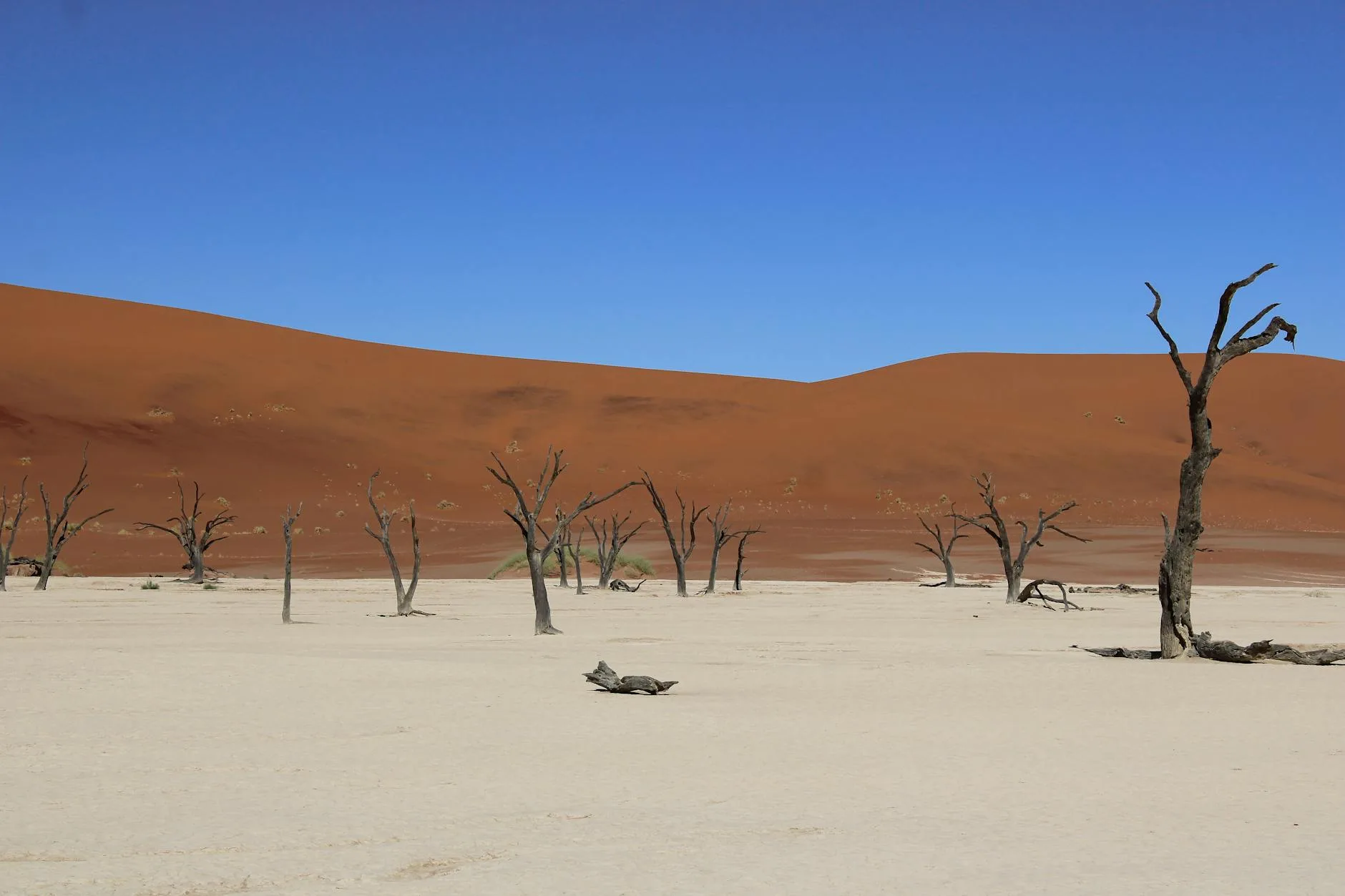 ️ Les sites à ne pas manquer dans le Namib