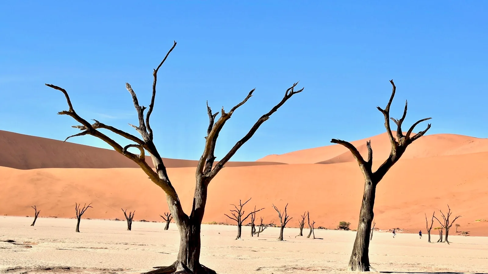 ️ Jour 3 — Sossusvlei et Deadvlei (journée complète)