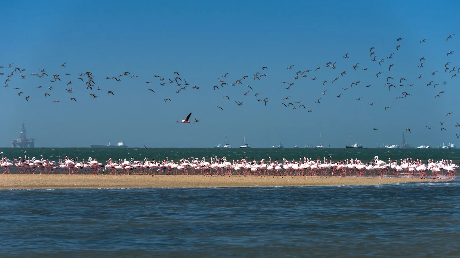 ️ Jour 6 — Walvis Bay et Sandwich Harbour