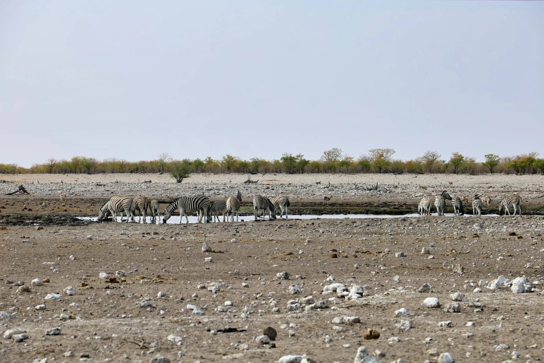 ️ Jour 6 — Route vers Etosha