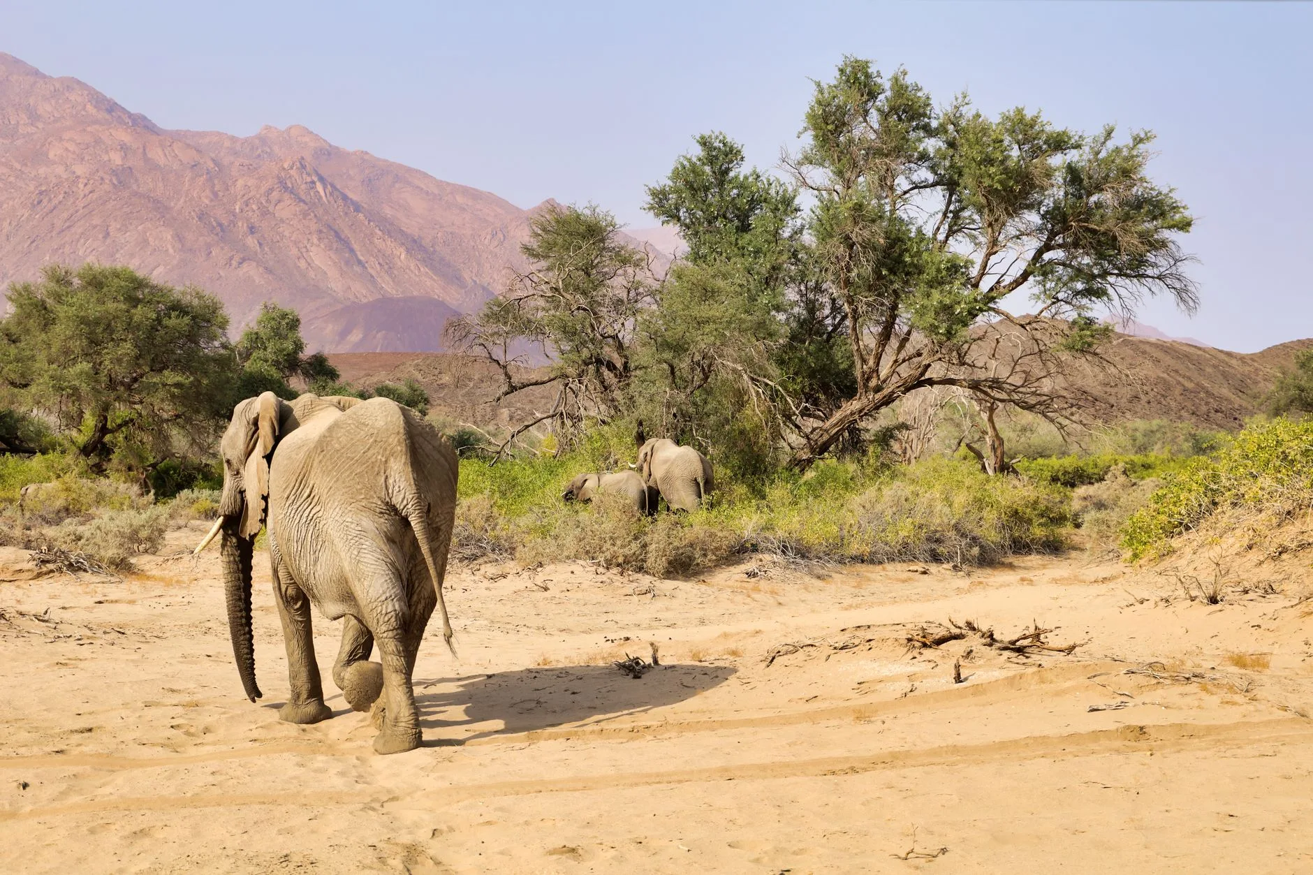 ️ La région du Kunene : le bout du monde namibien