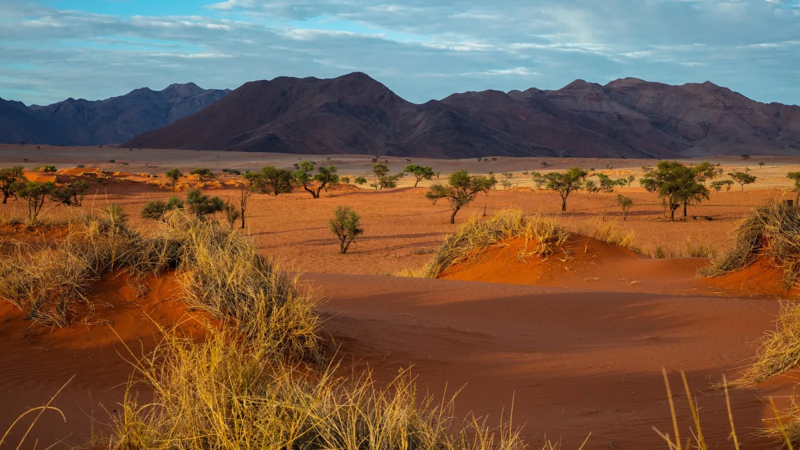 ️ Lüderitz dans un road trip en Namibie