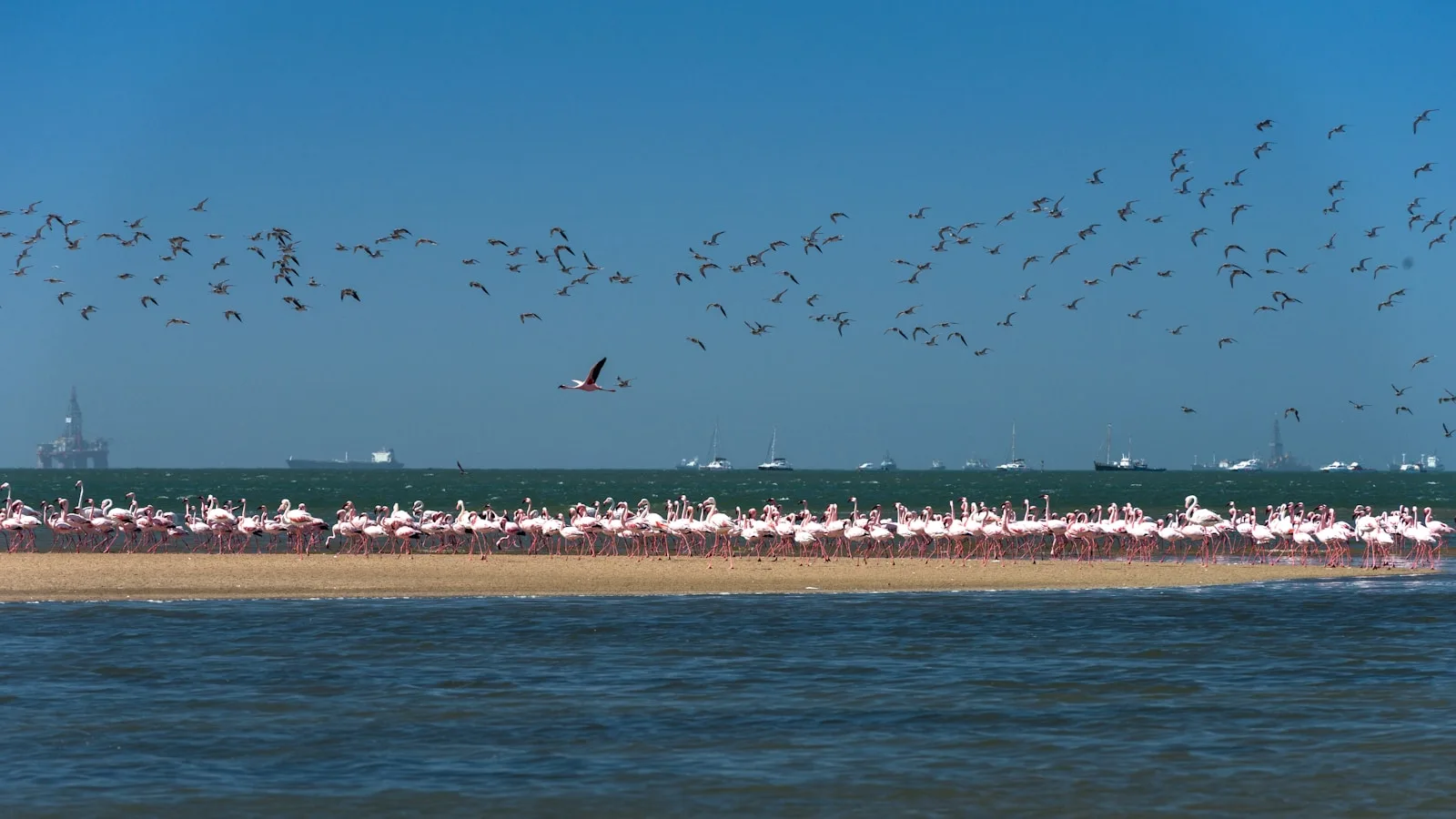 ️ Les quartiers où dormir à Walvis Bay