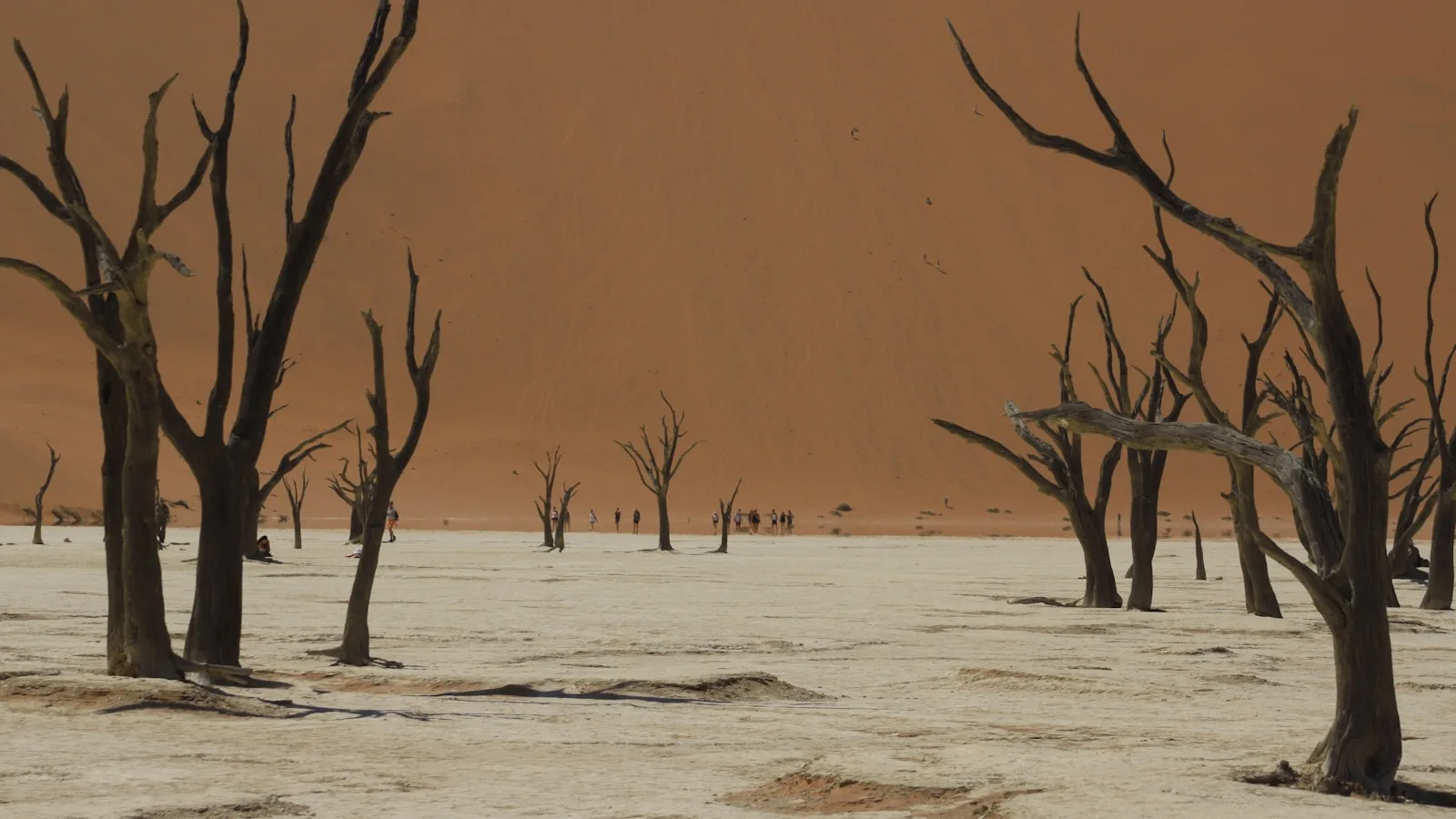 1. 🏜️ Deadvlei — Le tableau vivant