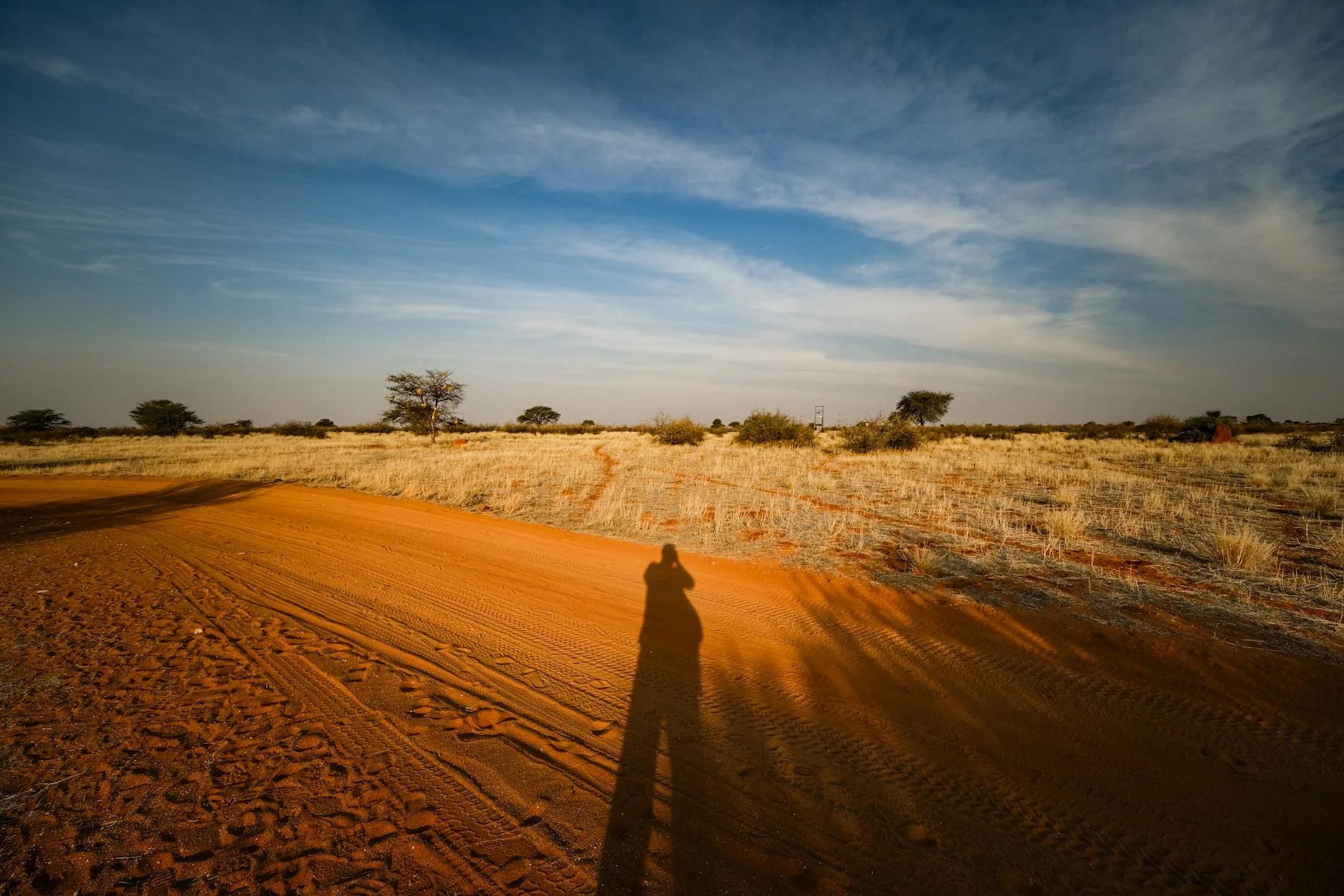 ️ Etosha dans votre circuit namibien