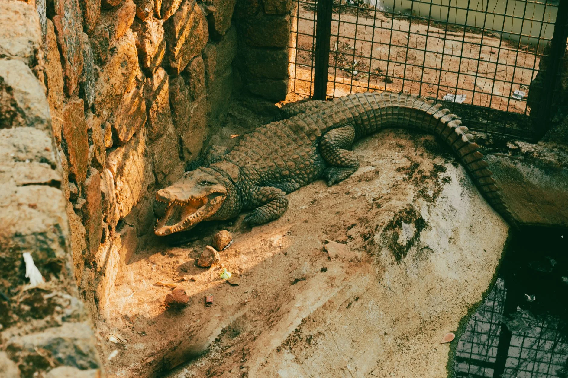 Zoo Park et la vie quotidienne du centre-ville